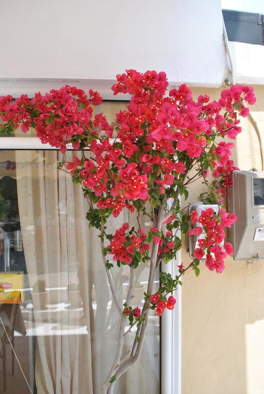 Polizotou Rooms Skala Sotiros Dış mekan fotoğraf